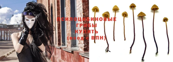 бошки Дмитриев