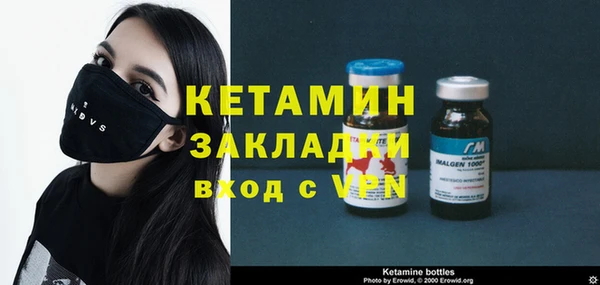 гашик Дмитров
