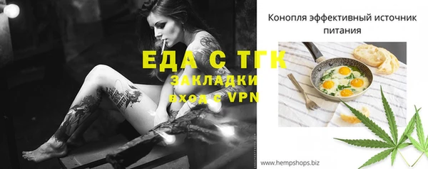 гашик Дмитров