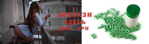 гашик Дмитров