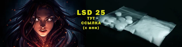 бошки Дмитриев