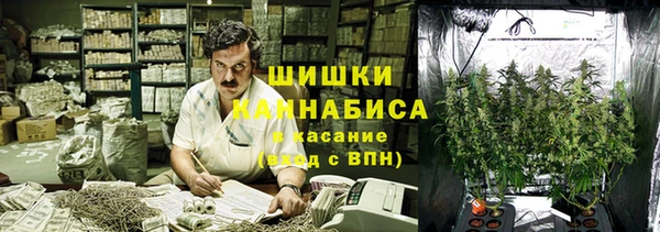 гашик Дмитров