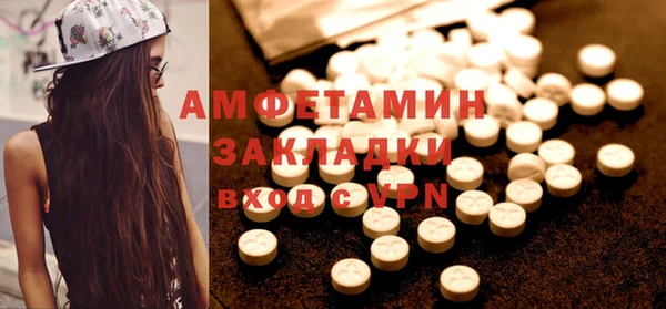 гашик Дмитров