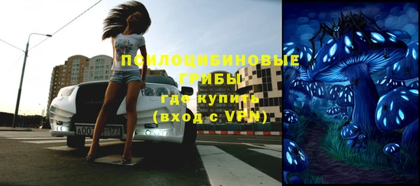 гашик Дмитров