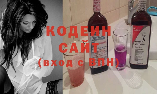 гашик Дмитров